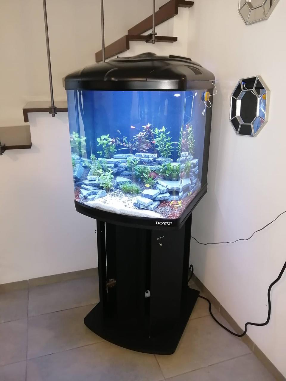 Acuario decorativo