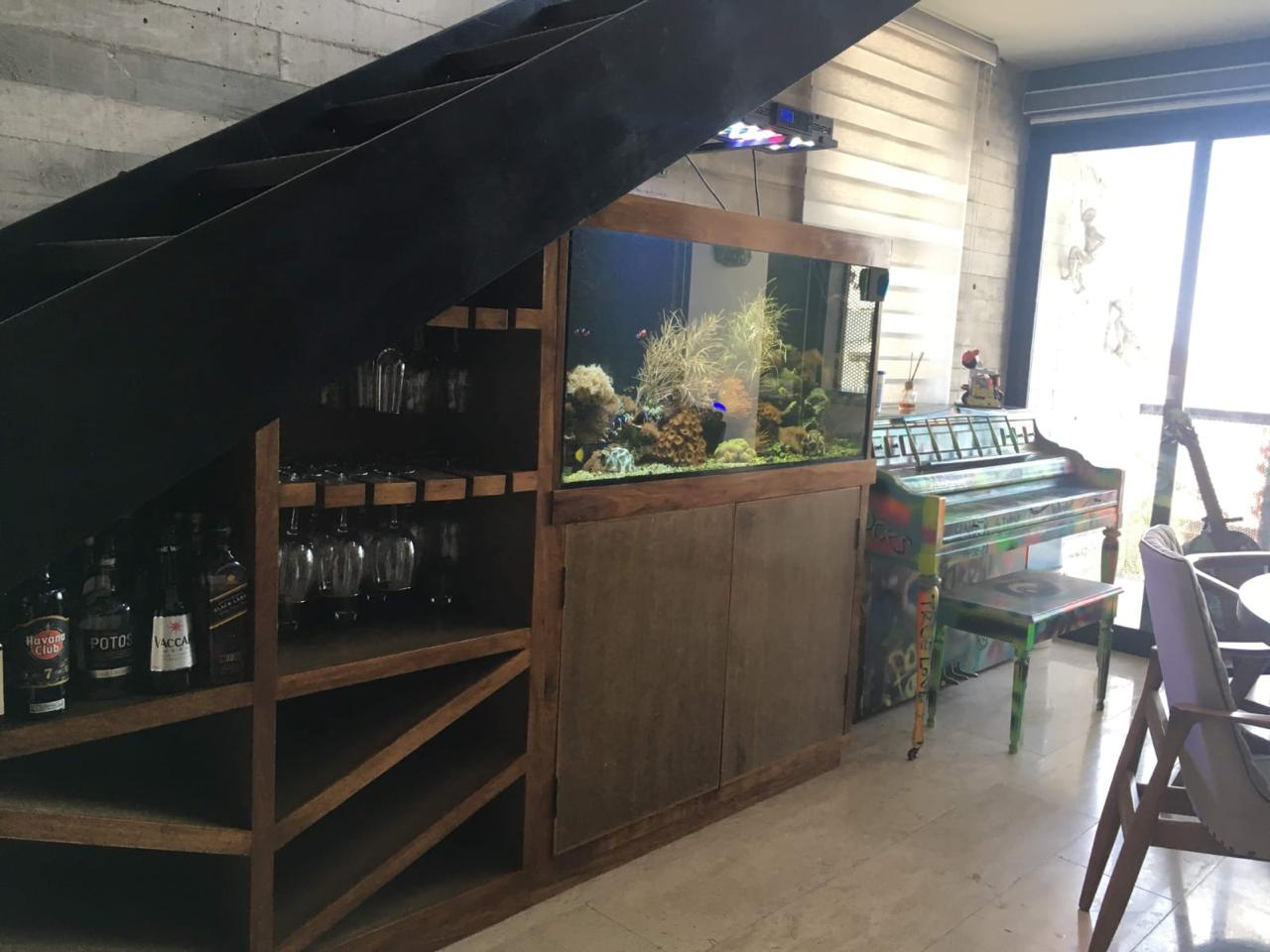 Estanque koi