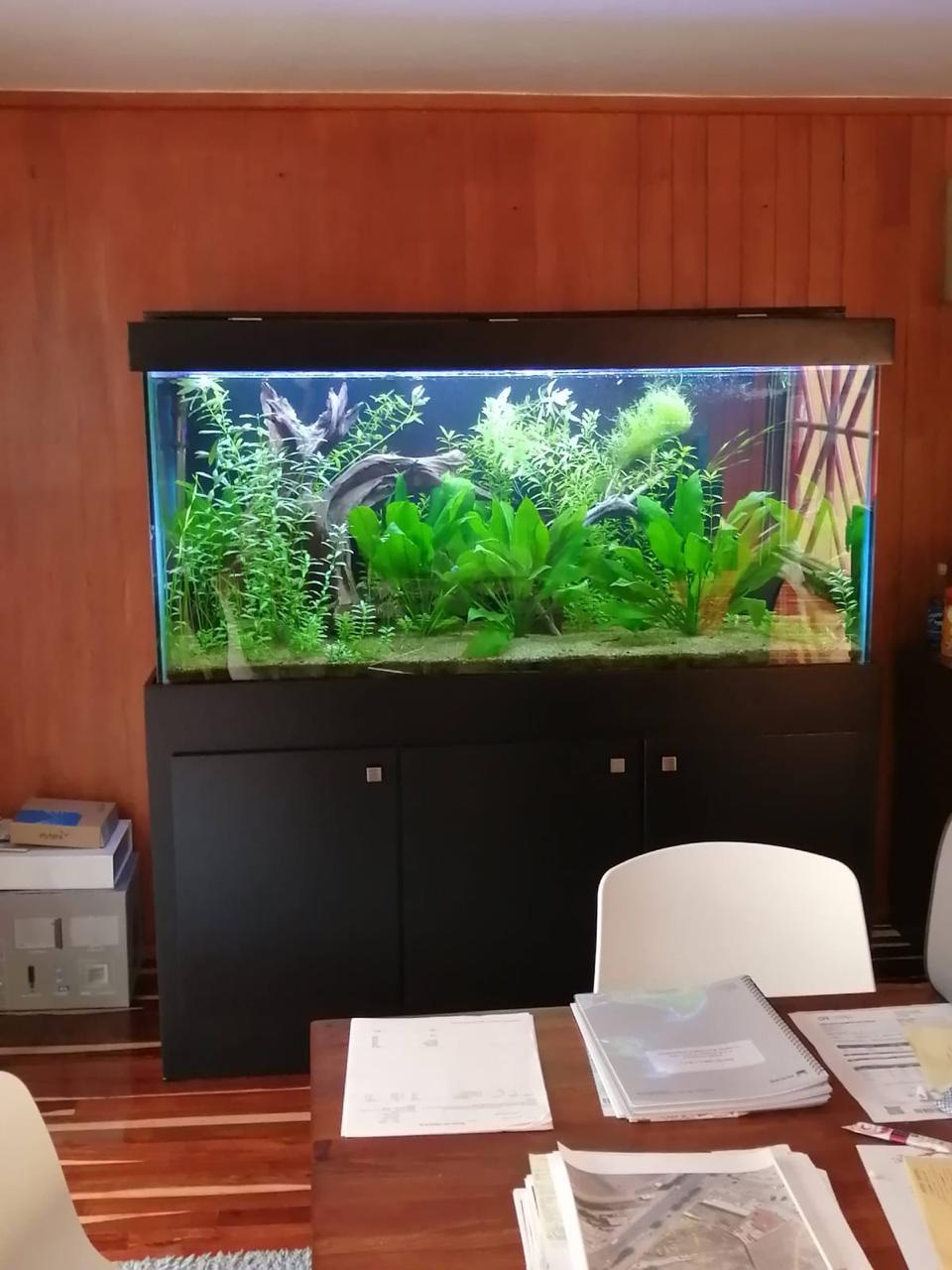 Acuarios de interior