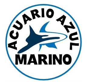 Acuario Azul Marino